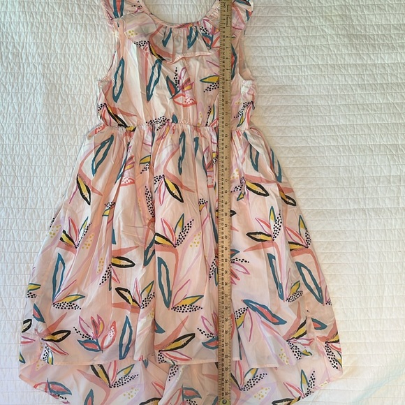 Tea Collection Girl’s Hi-Lo Ruffle Neck Dress - Picture 6 of 6